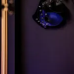 No Limits House - Bdsm Glamour 公寓 华沙